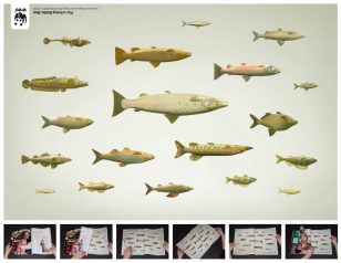 世界自然基金会 | World Wildlife Fund (WWF) | FarFar | Fish