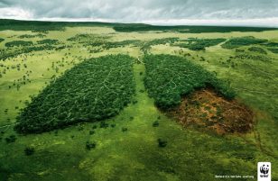 世界自然基金会 | World Wildlife Fund (WWF) | 腾迈 | TBWA | Lungs