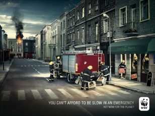 世界自然基金会 | World Wildlife Fund (WWF) | 奥美 | Ogilvy | Fireman