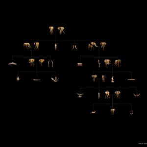 世界自然基金会 | World Wildlife Fund (WWF) | 奥美 | Ogilvy | Family Tree