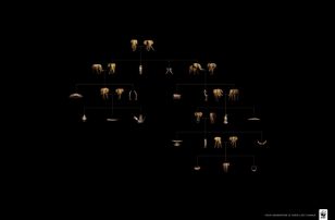 世界自然基金会 | World Wildlife Fund (WWF) | 奥美 | Ogilvy | Family Tree