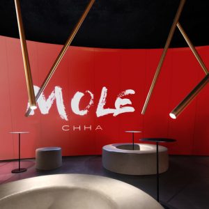 MOLE CHHA （中国佛山）