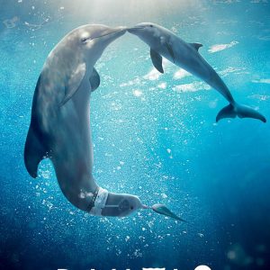 Dolphin Tale 2 - 《一只海豚的传说2》电影海报