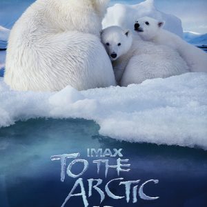 To the Arctic - 《北极》电影海报