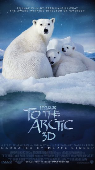 To the Arctic - 《北极》电影海报