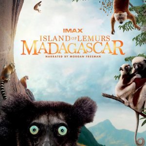 Island of Lemurs: Madagascar - 《狐猴之岛：马达加斯加》电影海报