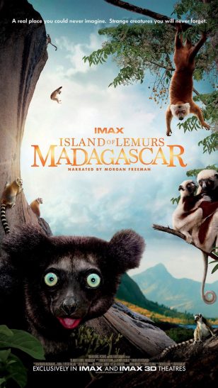 Island of Lemurs: Madagascar - 《狐猴之岛：马达加斯加》电影海报
