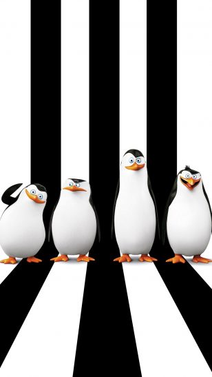 Penguins of Madagascar - 《马达加斯加的企鹅》电影海报