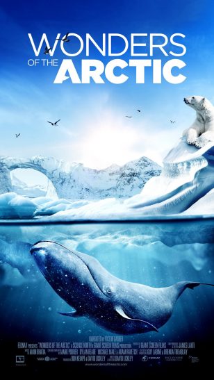Wonders of the Arctic - 《北极奇迹》电影海报
