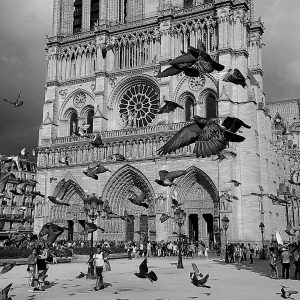 Notre-Dame - 巴黎圣母院