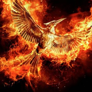 The Hunger Games: Mockingjay - 《饥饿游戏：嘲笑鸟2》电影海报