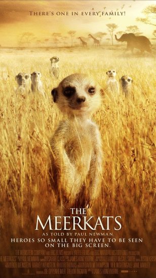 The Meerkats - 《蒙哥》电影海报