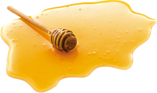 蜂蜜PNG