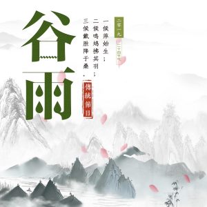 谷雨水墨中国风海报设计PSD