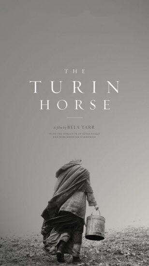 The Turin Horse - 《都灵之马》电影海报