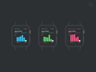 Apple Watch Analytics Sketch 素材下载