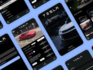 TESLA app concept .xd素材下载