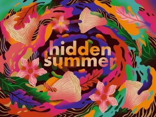 Procreate - Hidden Summer