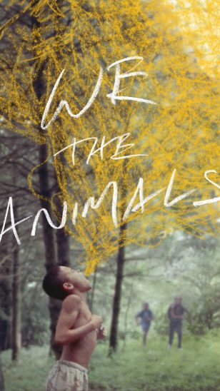 We the Animals - 《我们，动物》电影海报