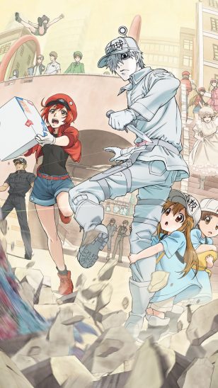 Hataraku Saibou - 《工作细胞》动画海报