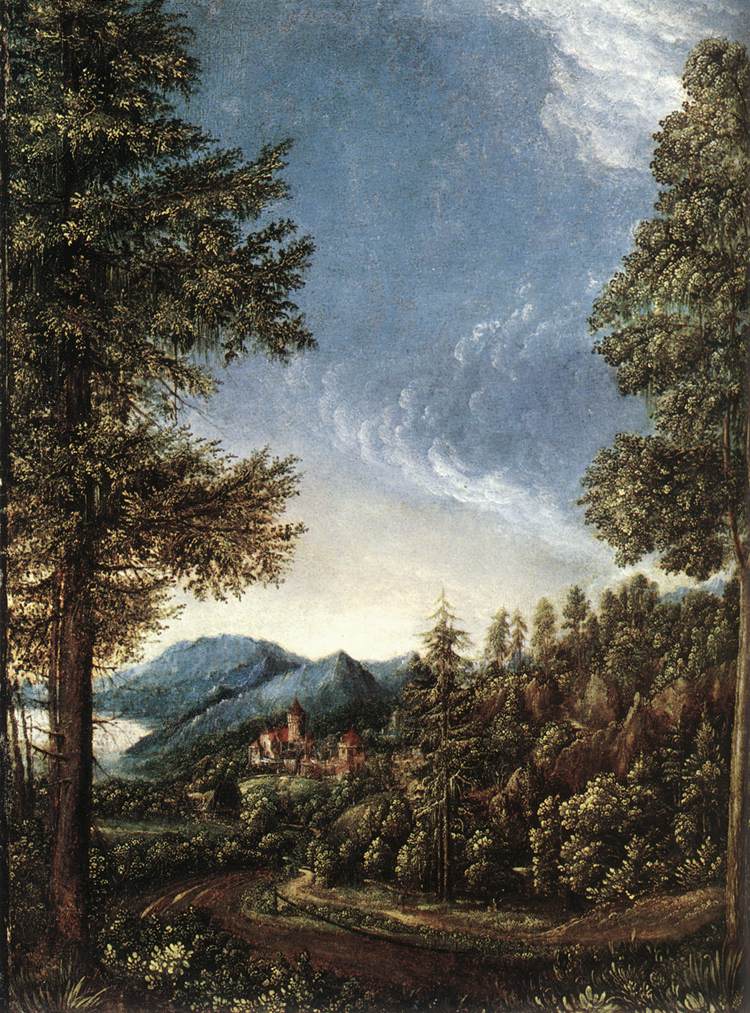 .德国《Danubian Landscape》阿尔布雷希特·阿尔特多夫 Albrecht Altdorfer