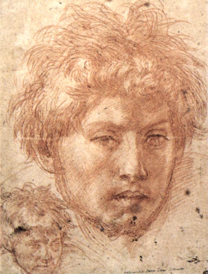 .意大利《Head of a Young Man》安德烈·德尔·萨托Andrea del Sarto