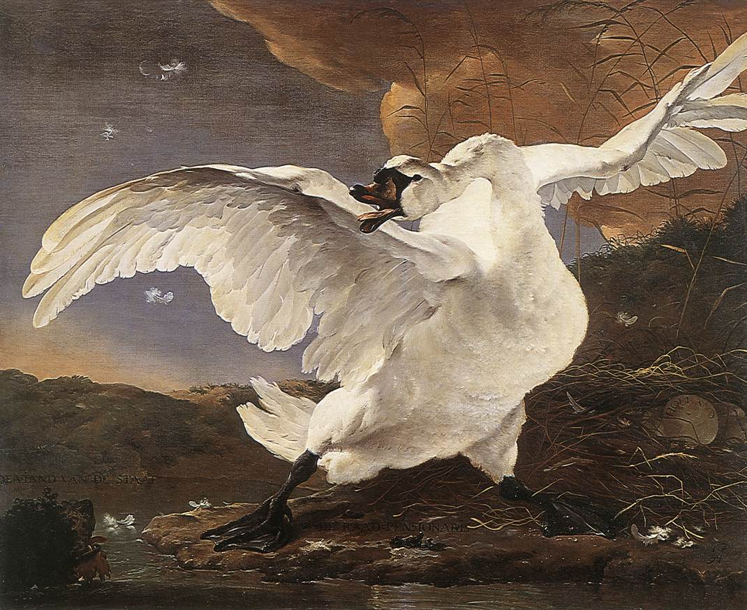 .荷兰《The Threatened Swan》阿塞林Asselyn Jan
