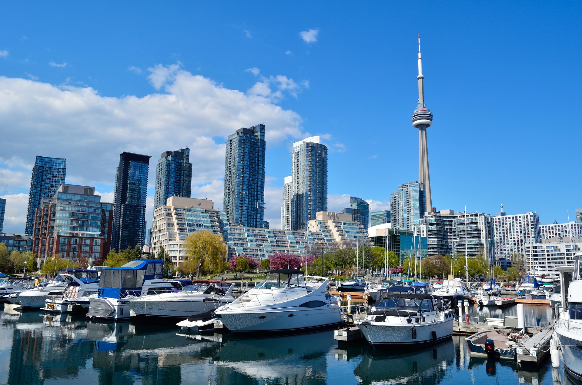 多伦多塔the cn tower