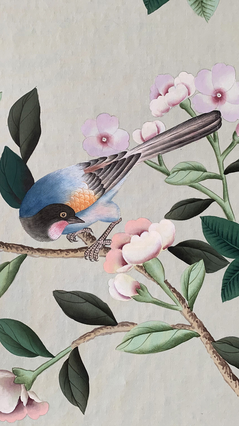 Wallpapers de Gournay - 英国 de Gournay 品牌花鸟系列