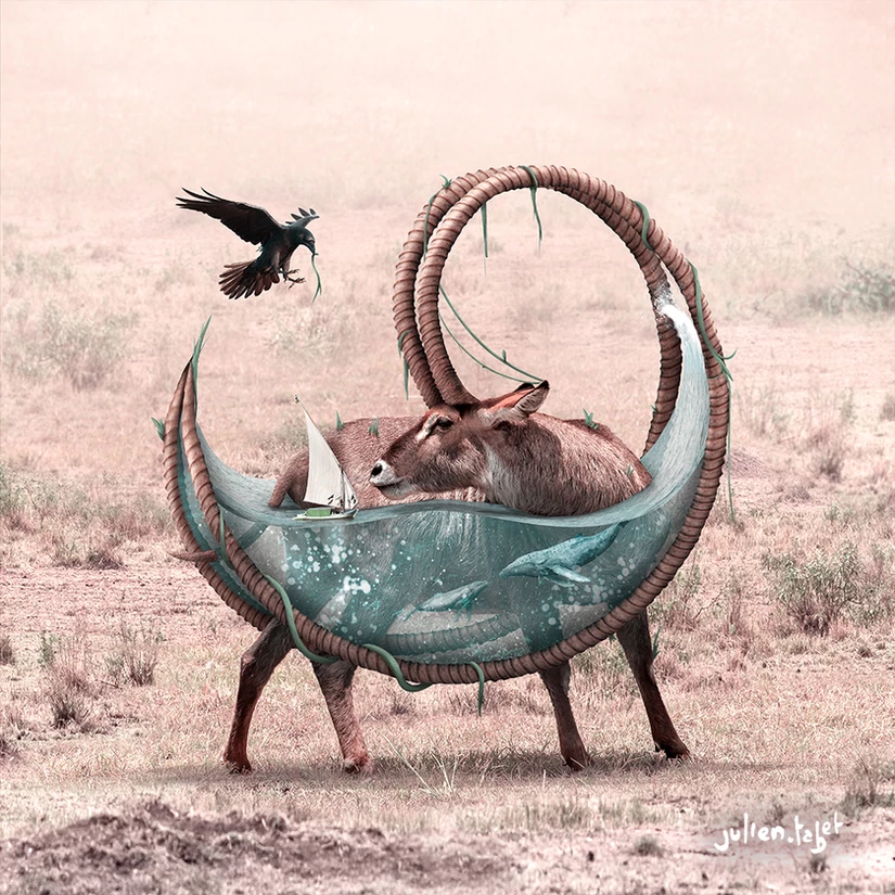 An actual Waterbuck, Julien Tabet, Digital, 2020