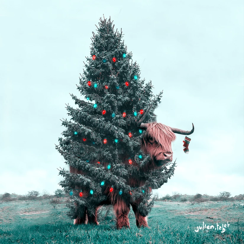 Christmas Yak, Julien Tabet, Digital, 2017