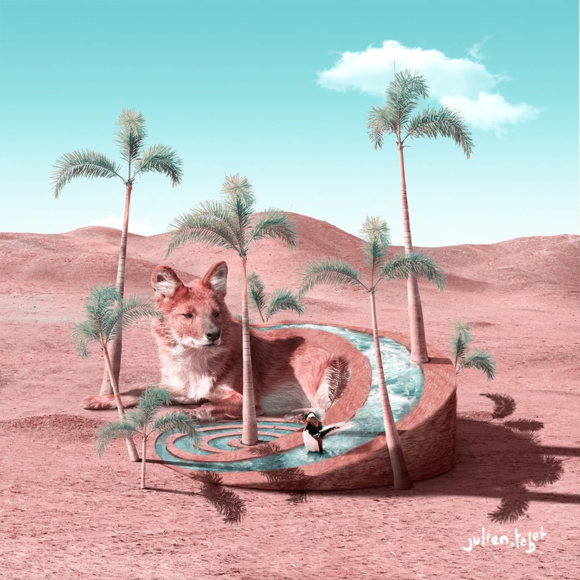 Oasis, Julien Tabet, Digital, 2019