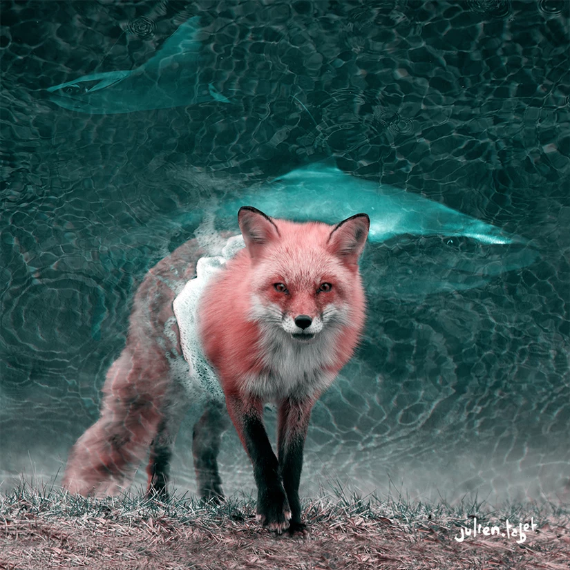 Waterfox, Julien Tabet, Digital, 2017