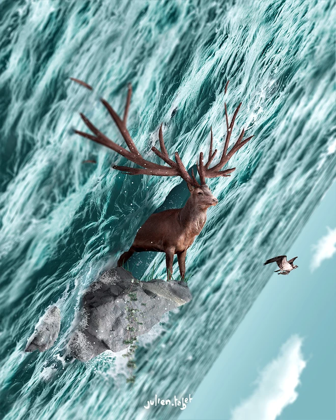 What the Buck, Julien Tabet, Digital, 2020