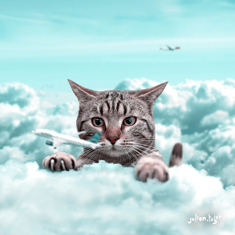 Curious, Julien Tabet, Digital, 2019