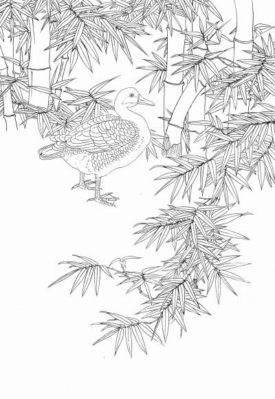 黑白线描手绘兰花