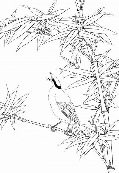 黑白线描手绘兰花