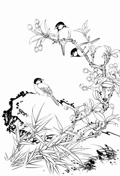 黑白线描手绘兰花
