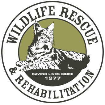 wildlife-rescue